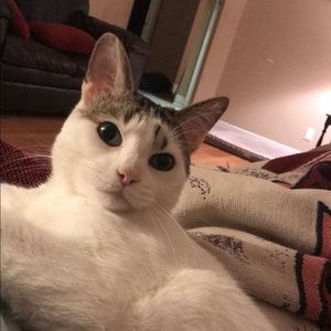 Meet your Posher, Ally